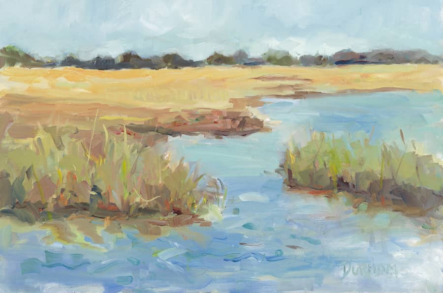 Landscape of low country in South Carolina